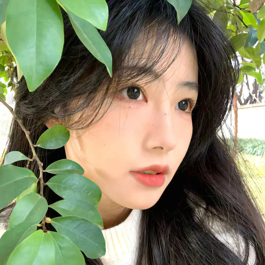 月亮之光